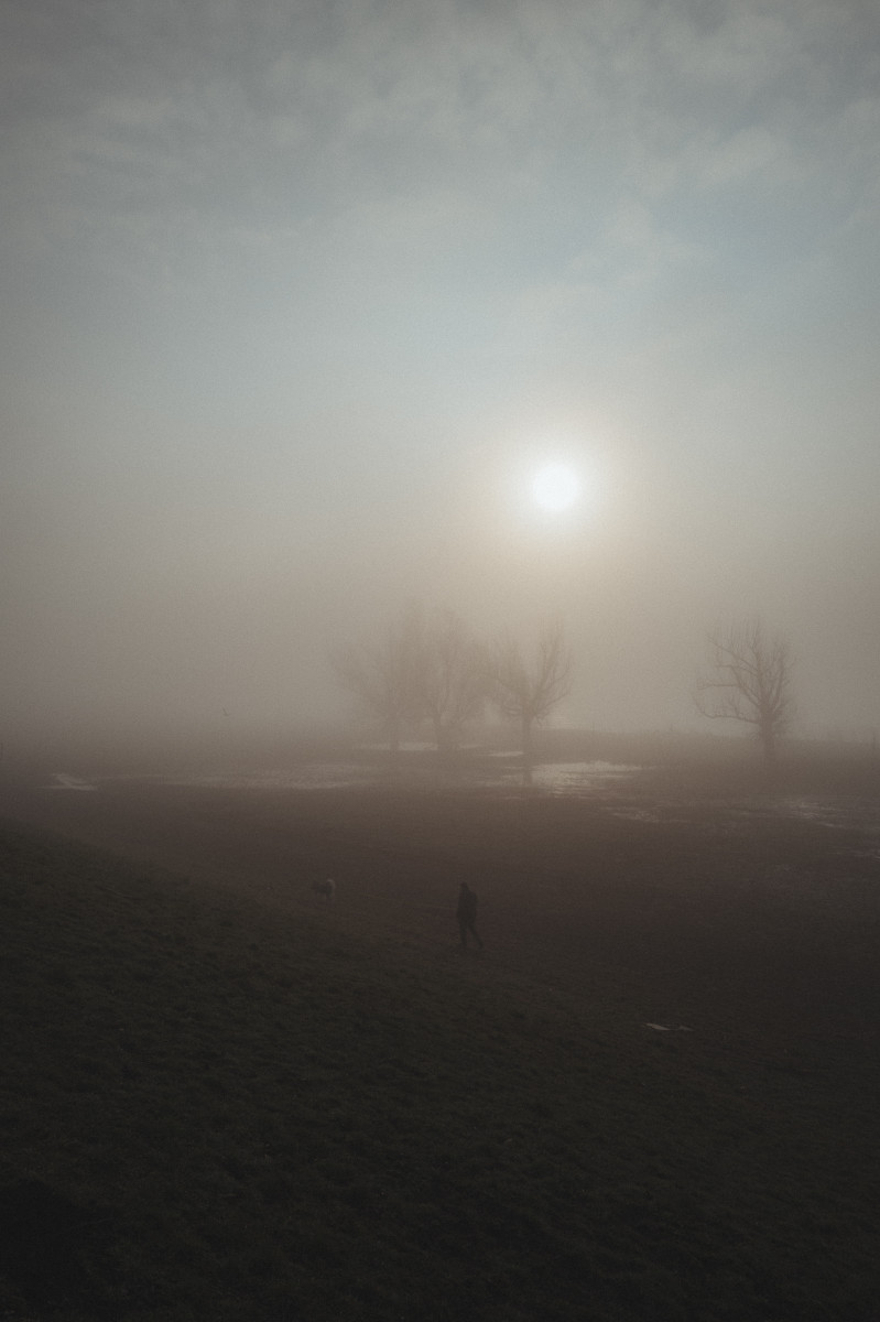 Neblige Landschaft mit kahlen Bäumen und Sonne