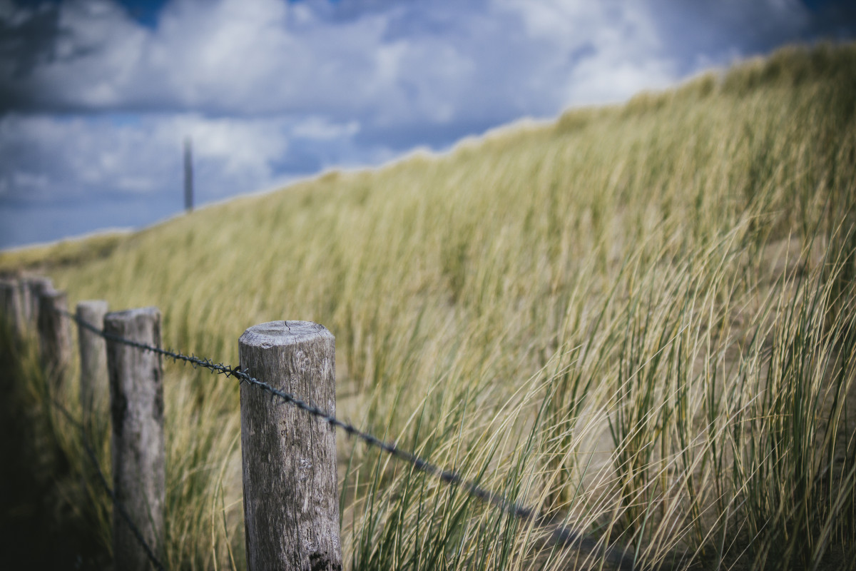 Zaun vor Graslandschaft an der Nordsee