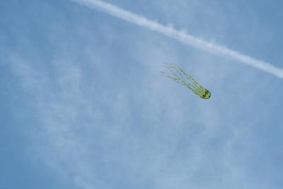 Grüner Geister-Drachen im bewölkten Himmel