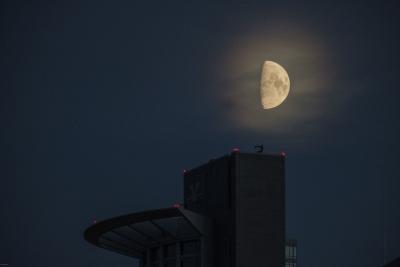 Halbmond über Hochhaus in Frankfurt bei Nacht